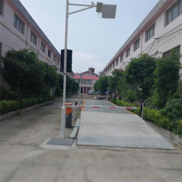 “电子妖精视频网站下载”和“汽车衡”到底有什么不同?